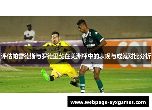 评估帕雷德斯与罗德里戈在美洲杯中的表现与成就对比分析