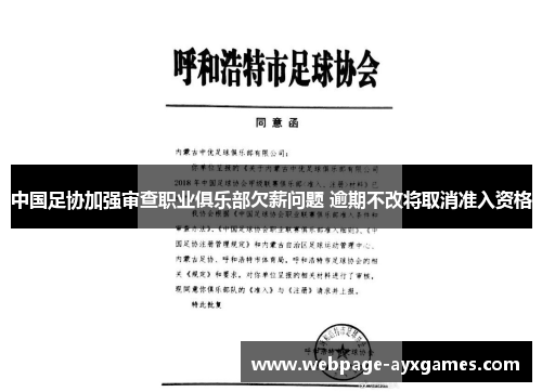 中国足协加强审查职业俱乐部欠薪问题 逾期不改将取消准入资格 中国足协加强审查职业俱乐部欠薪问题 逾期不改将取消准入资格