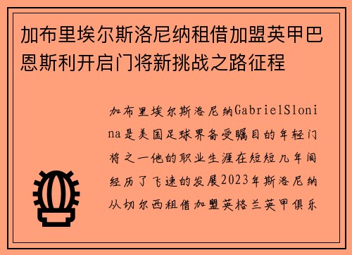 加布里埃尔斯洛尼纳租借加盟英甲巴恩斯利开启门将新挑战之路征程